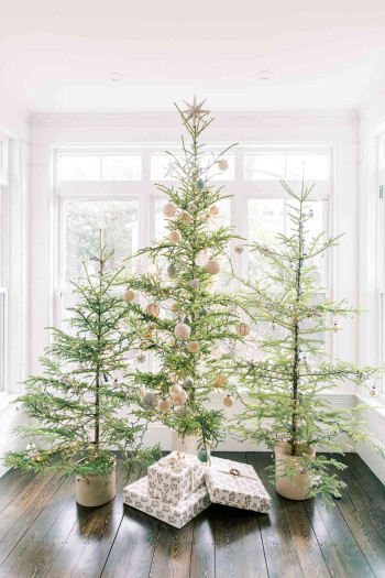 Minimalist tree spotted christmas tree