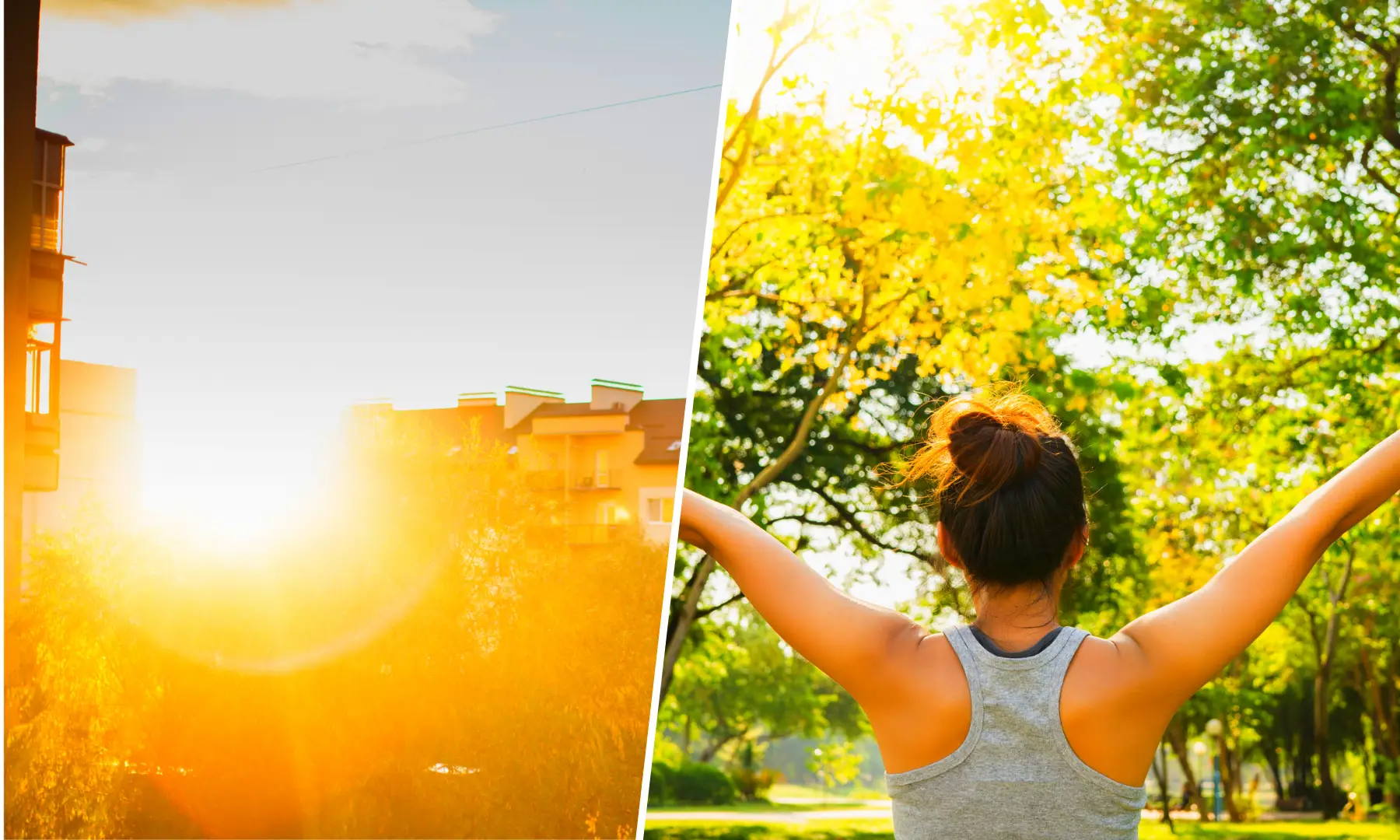 Advantages Of Houses With A Morning Sun Position Lumina Homes