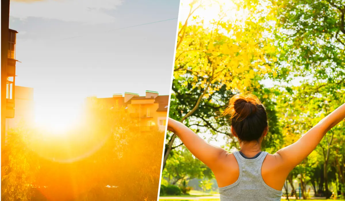 Advantages of Houses with a Morning Sun Position Lumina Homes