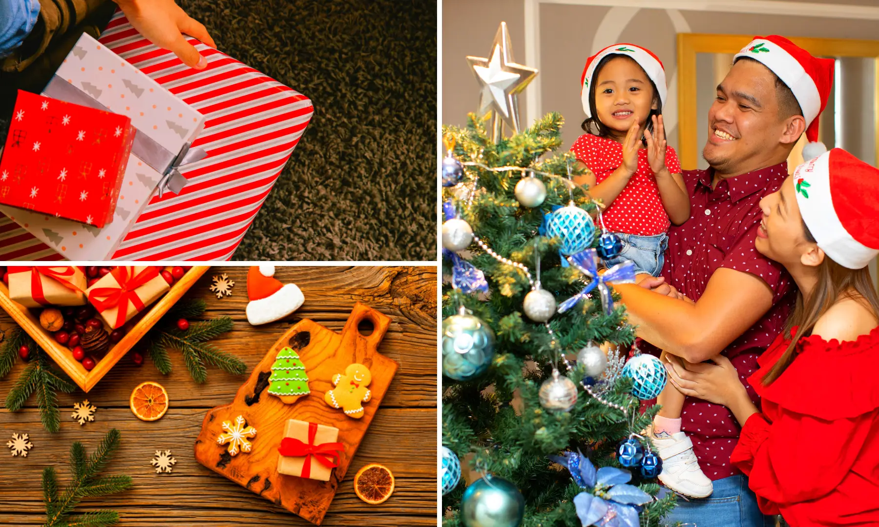 Affordable Family Portrait Ideas Christmas and Holiday Season 2022