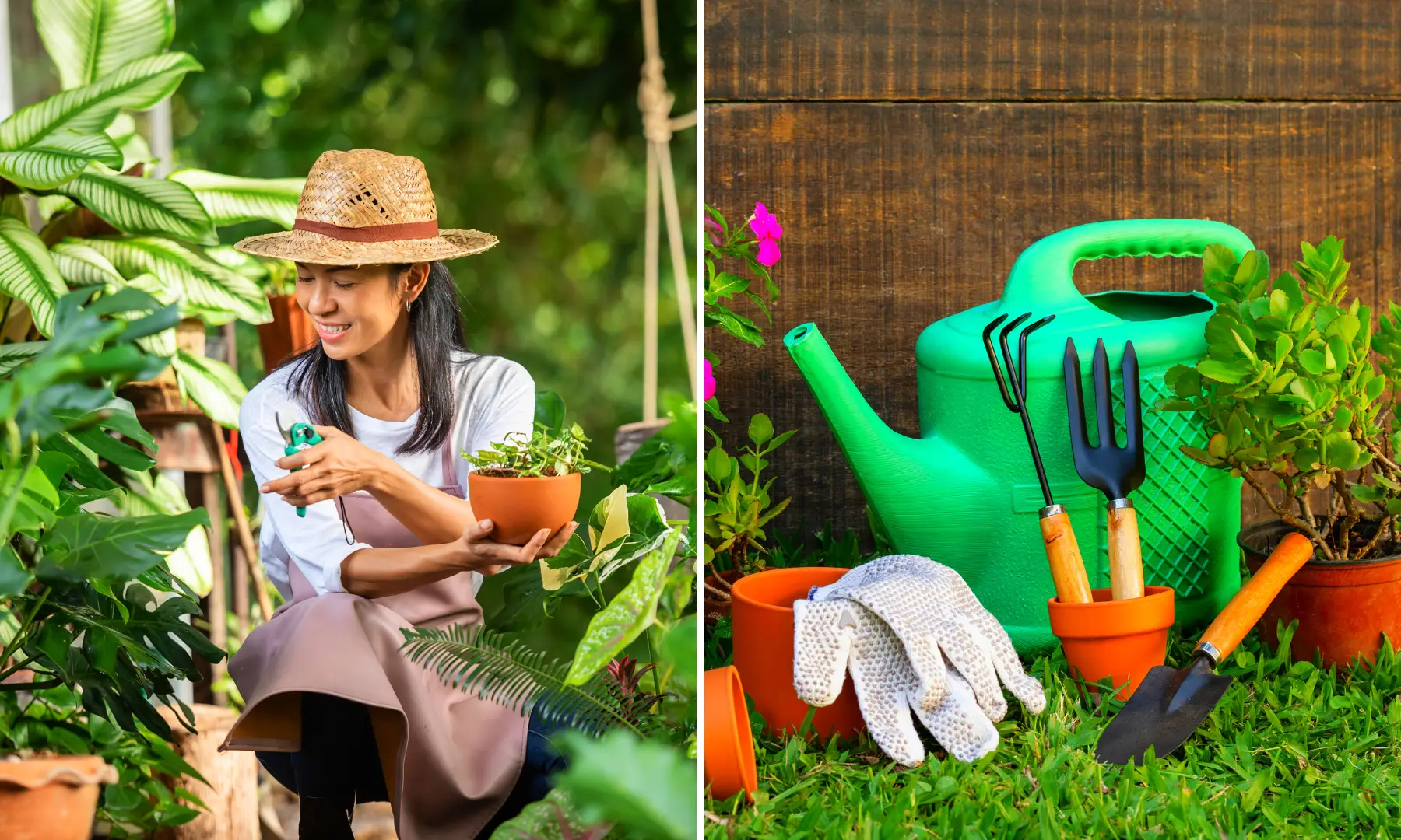 Beginner Gardening Ideas to Kickstart Your Green Oasis