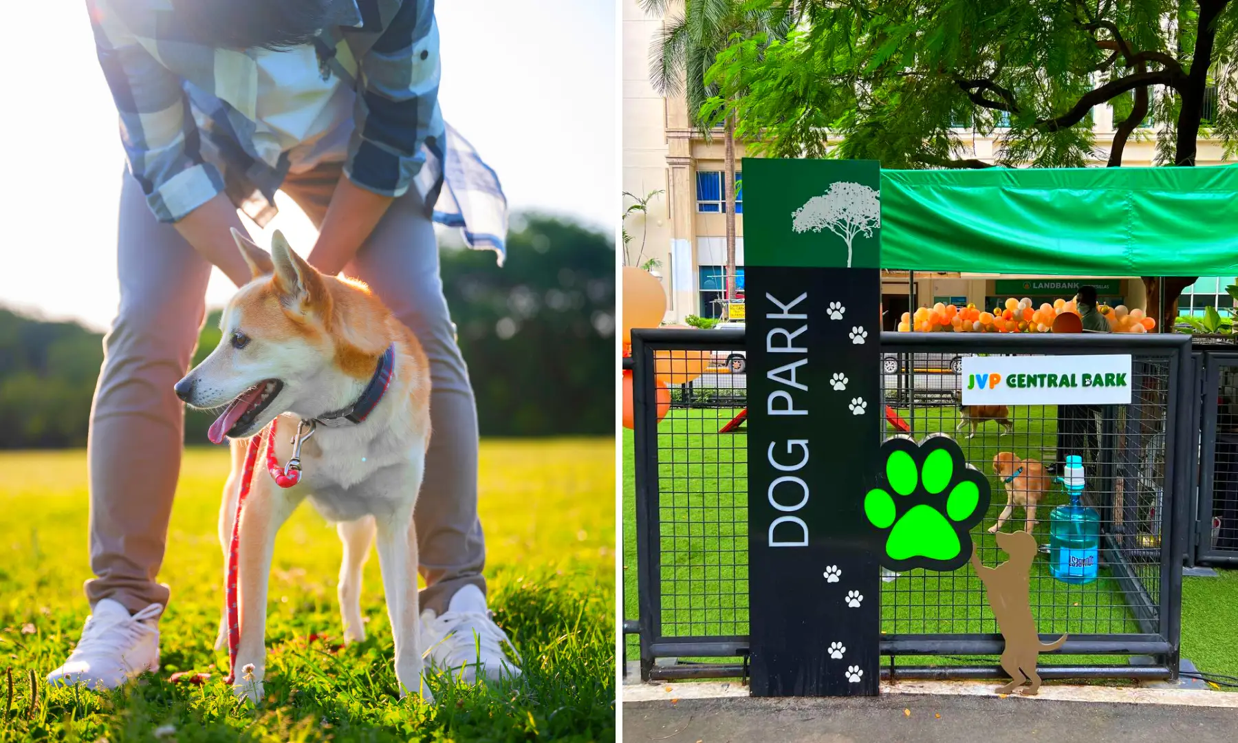 Best Dog Parks in Philippines for Your Furbabies