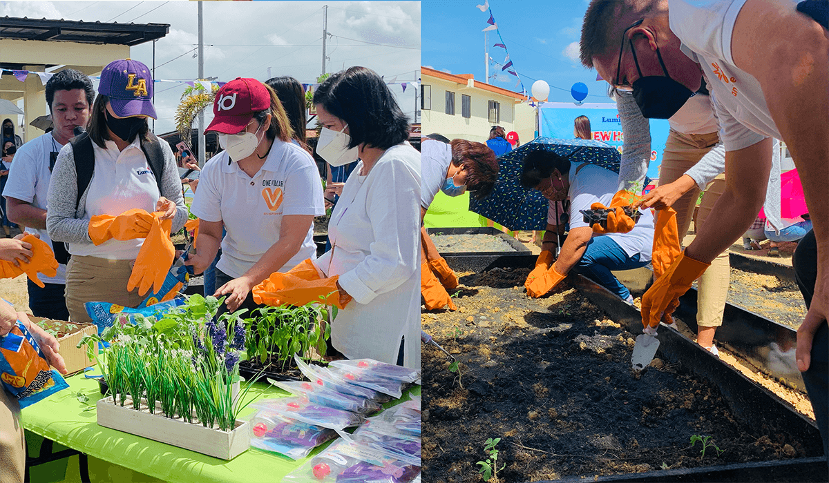 Best Vegetables to Grow in Community Garden Lumina Homes