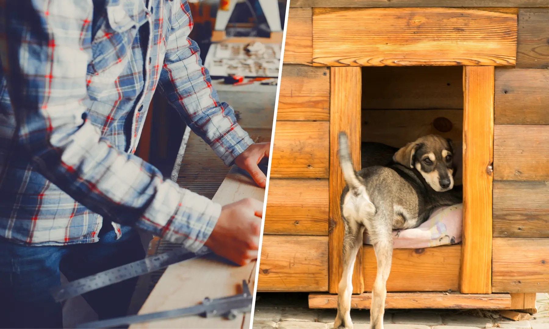 DIY Dog House How to Build One for Your Furry Friend
