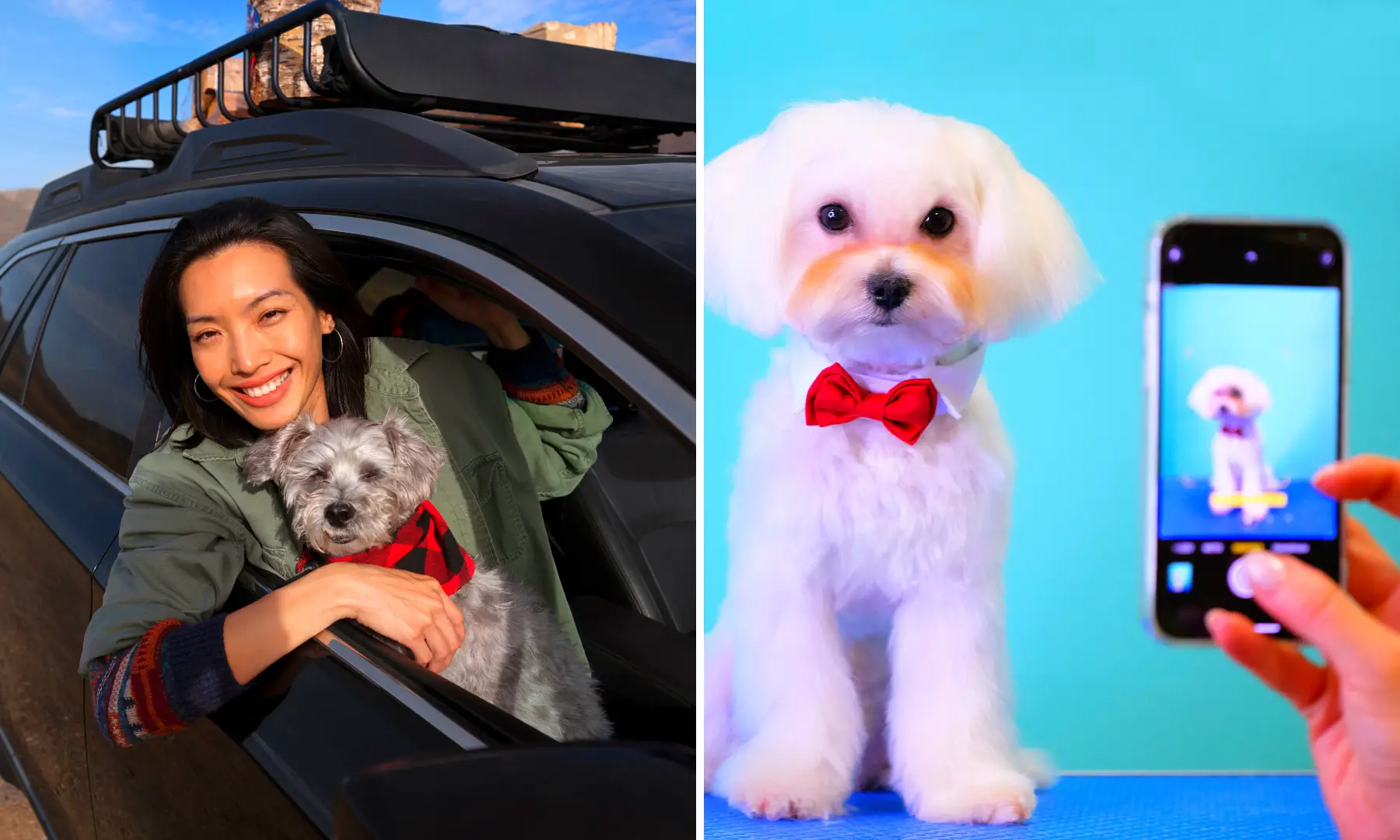 Fun Ways to Celebrate National Pet Day this 2023