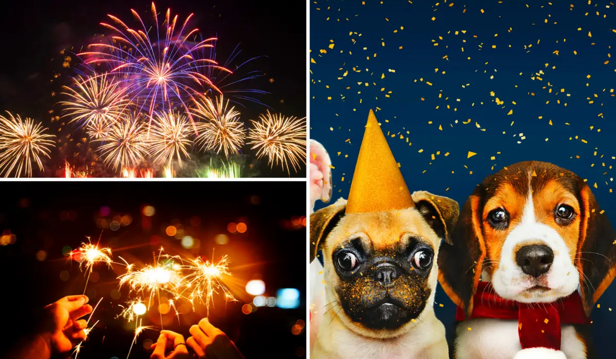 How Can I Calm My Dog Down During Fireworks