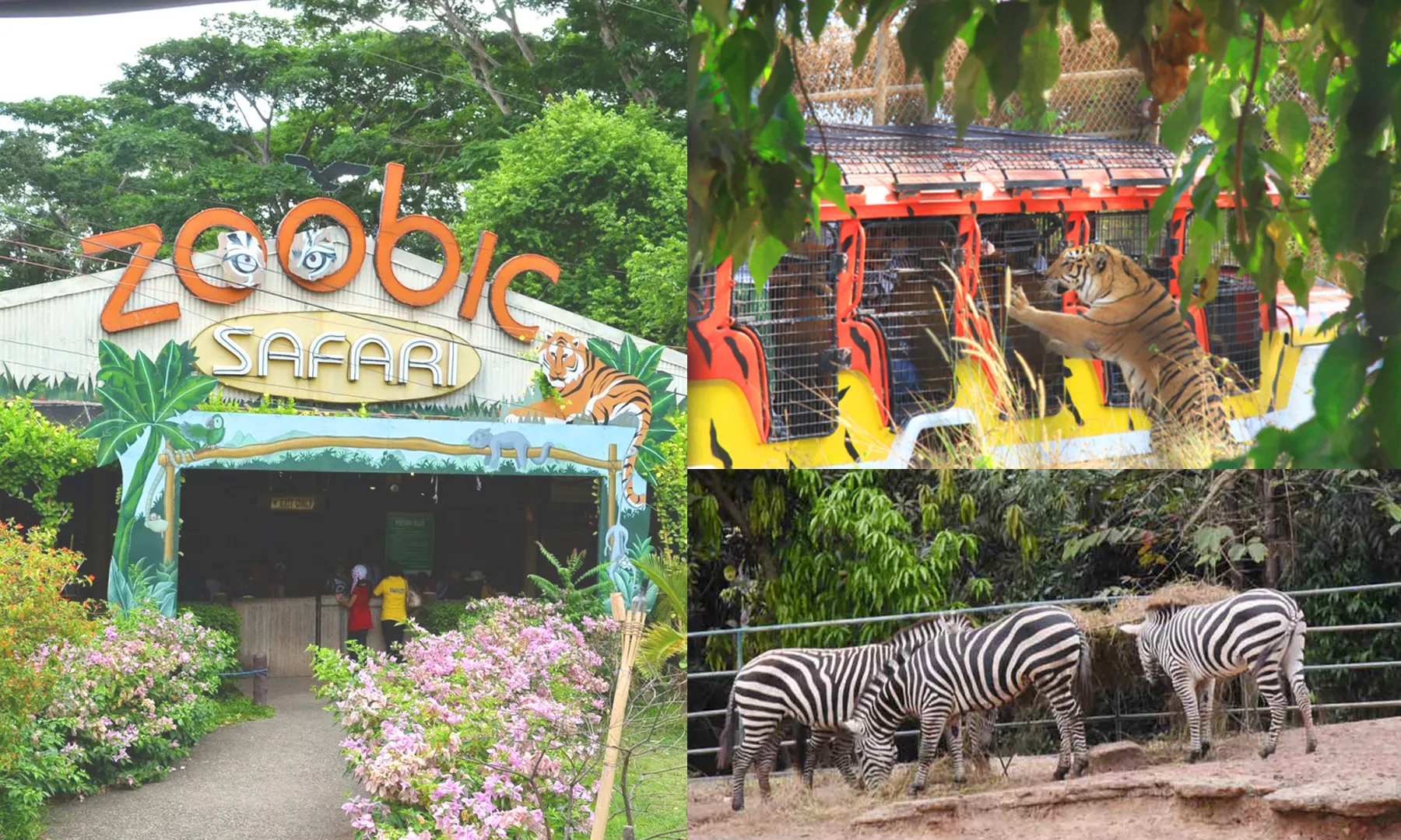 Have Fun in These Kid friendly Places in Subic