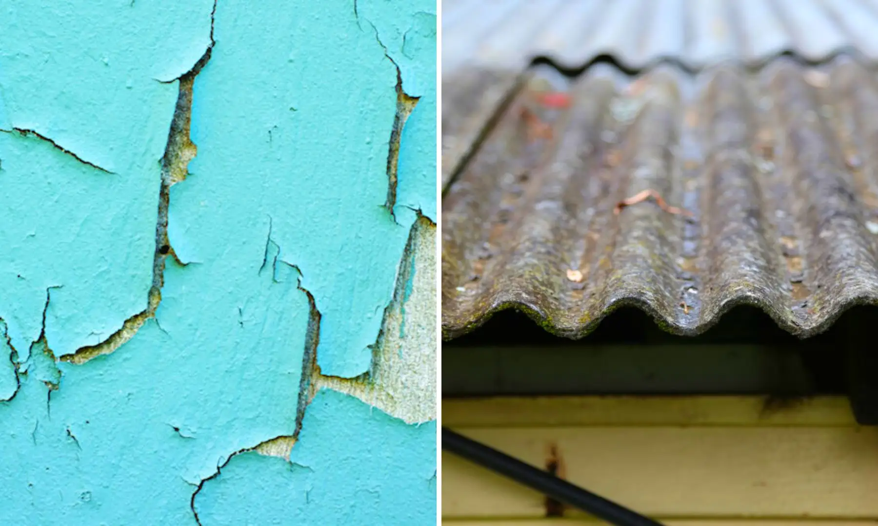 Hidden Home Toxins Whats Lurking Inside Your Home