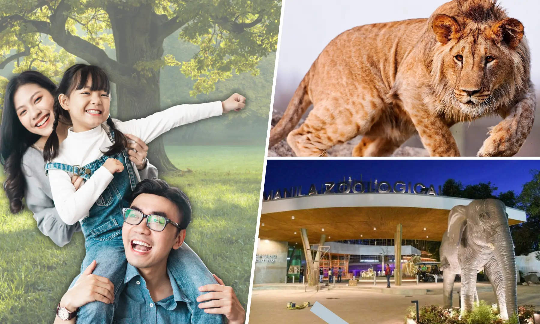 List of Famous Zoos in the Philippines