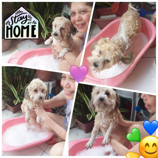 Myrna shares many benefits of having pets at home. Myrna shares many benefits of having pets at home.