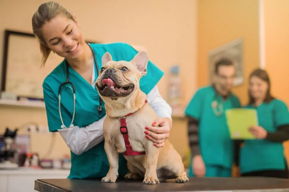 Trained health workers for rabies control and dog vaccination