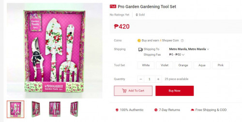 Lumina Homes Budol Finds Green Centrale PH Shopee