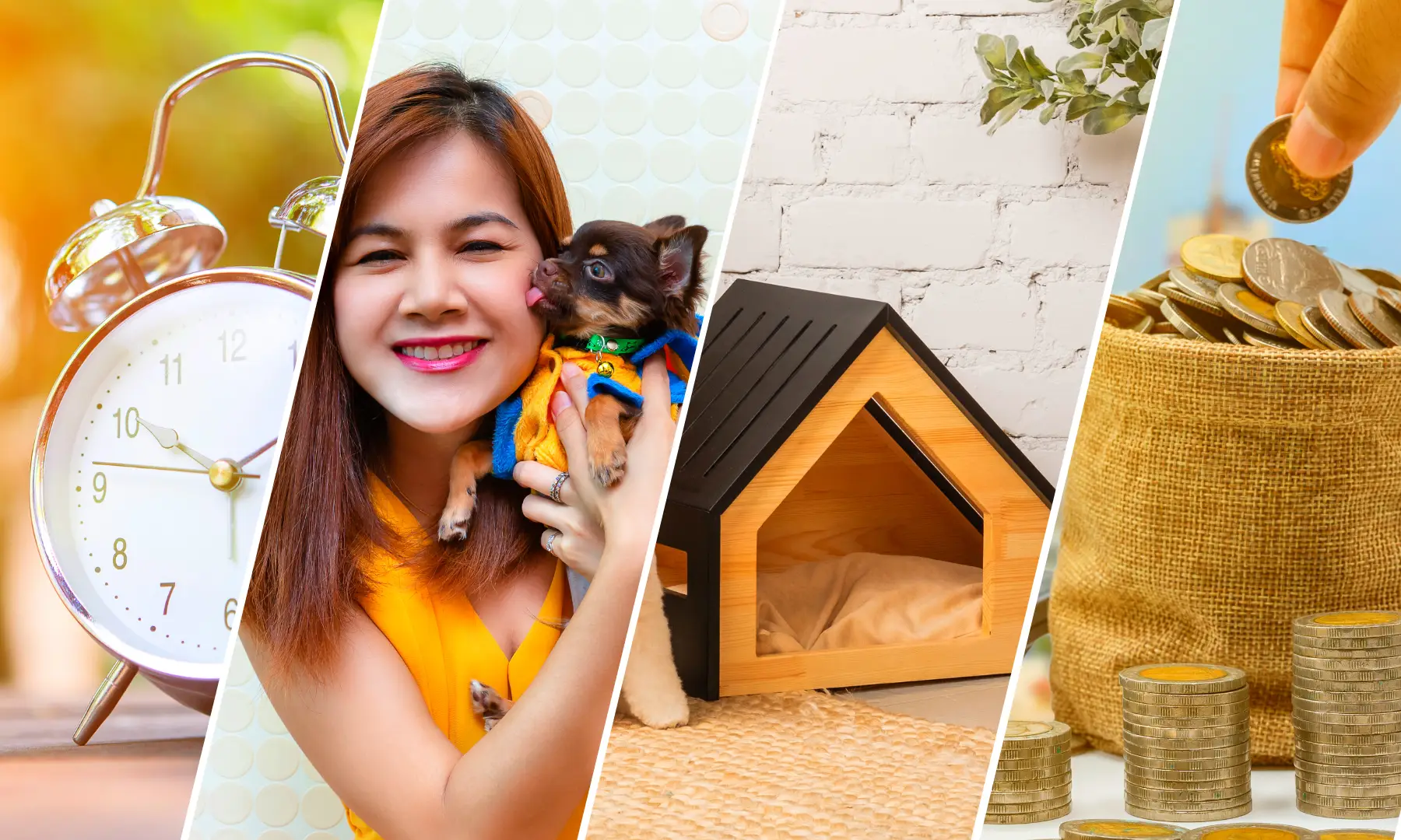 Pet Parents Guide Dog Ownership Cost in the Philippines