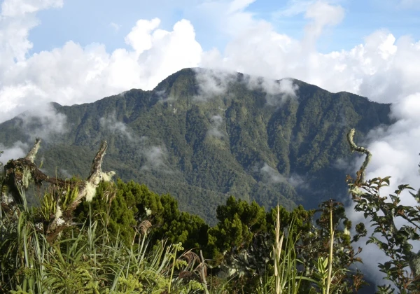 Climate in Bukidnon is cold most of the time