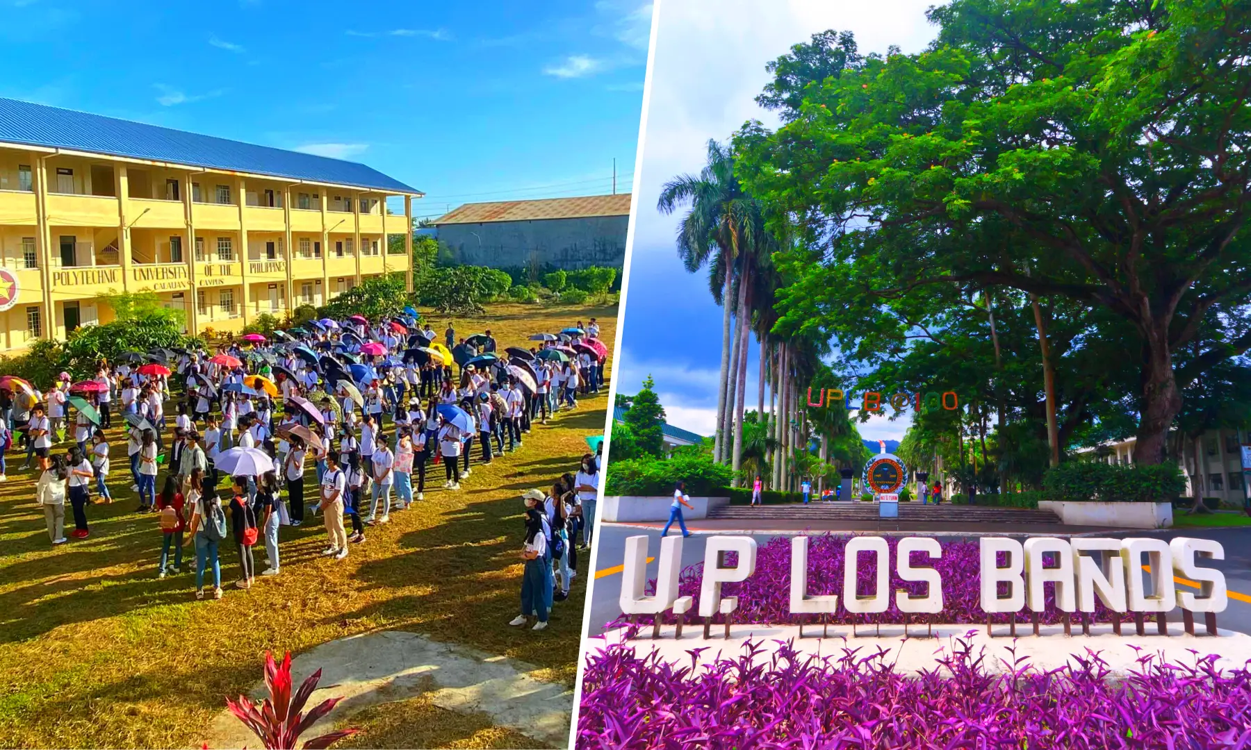 Schools and Universities near Lumina Calauan