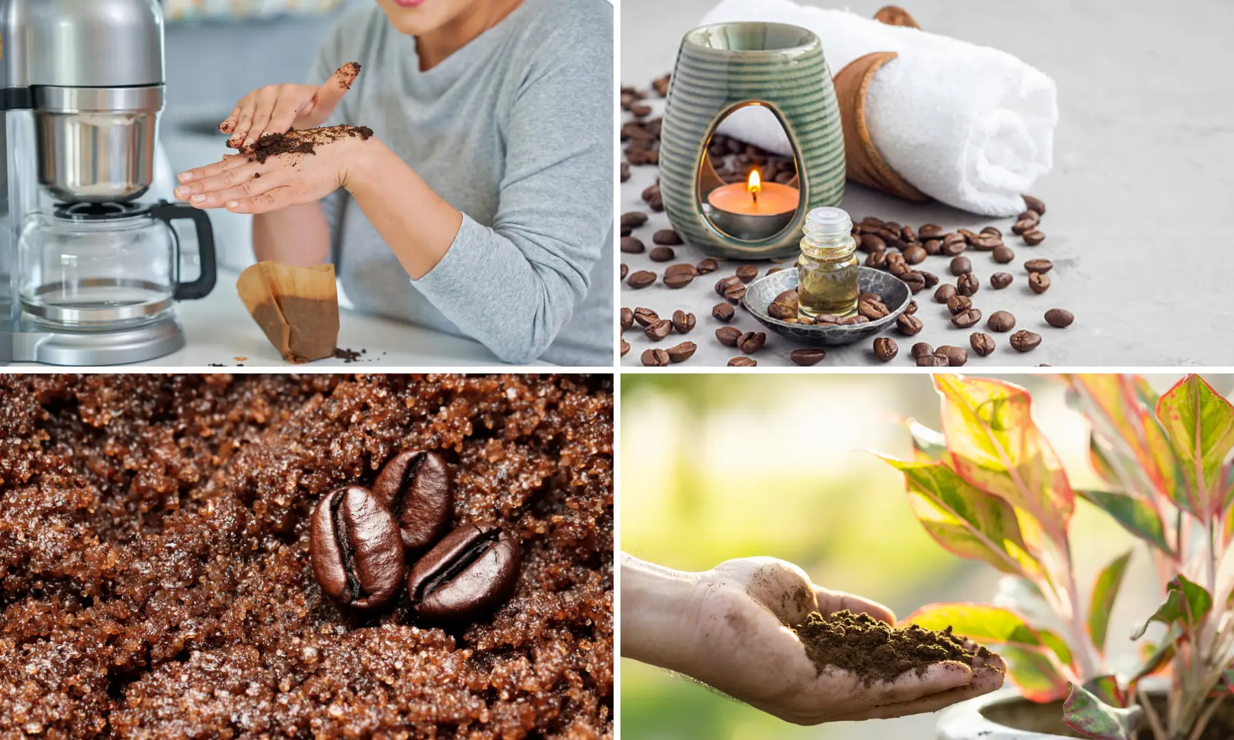 Ways to Use Leftover Coffee Grounds for your Home