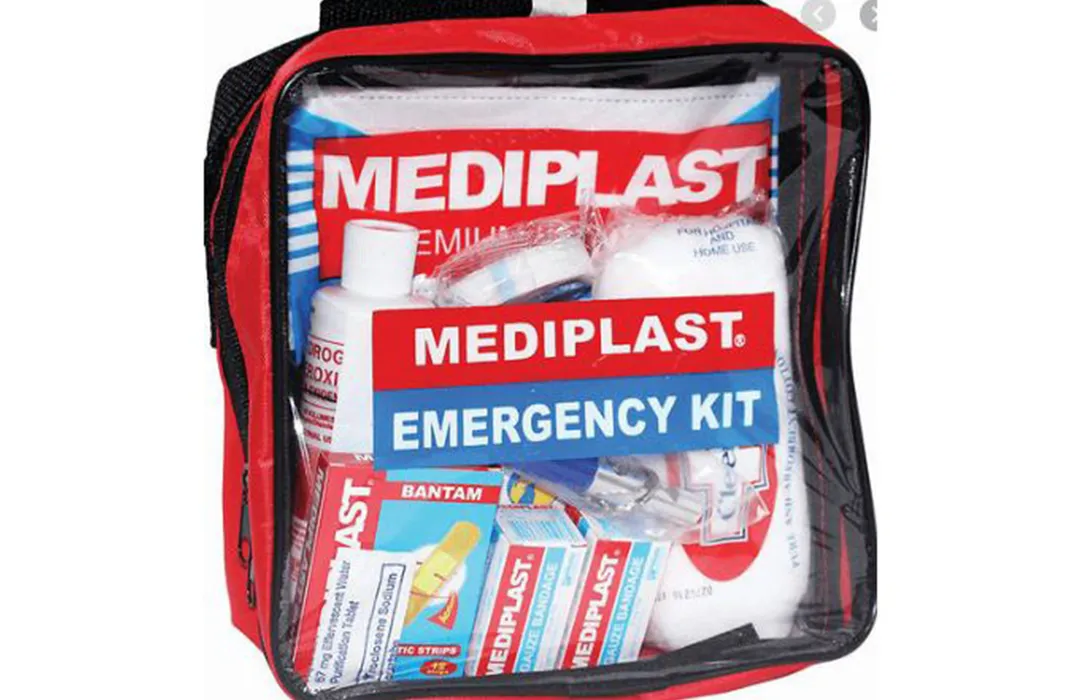 540 Best Go Bags ideas  go bags survival kit emergency survival kit