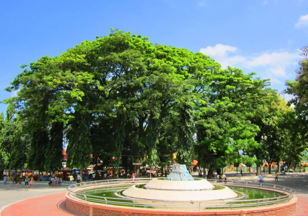Polomolok as one of the component municipalities in South Cotabato