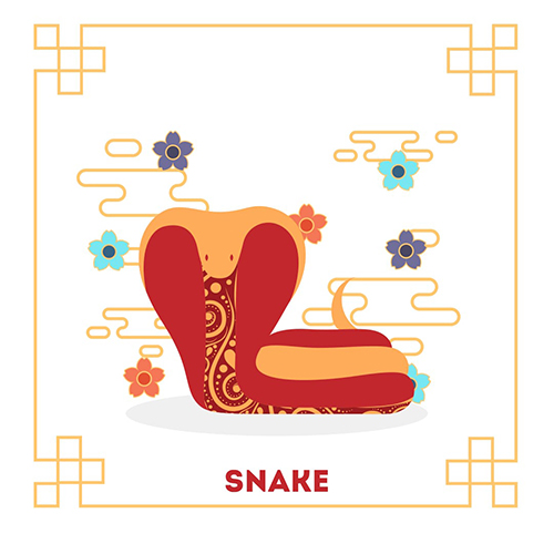 year-of-the-snake