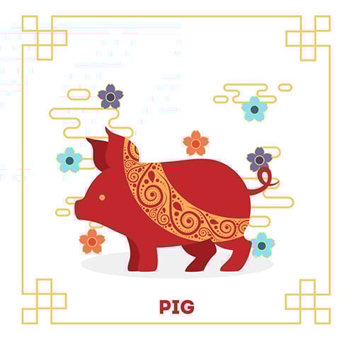 year-of-the-pig